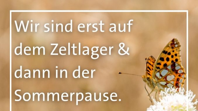 Kopie von Falken Instagram